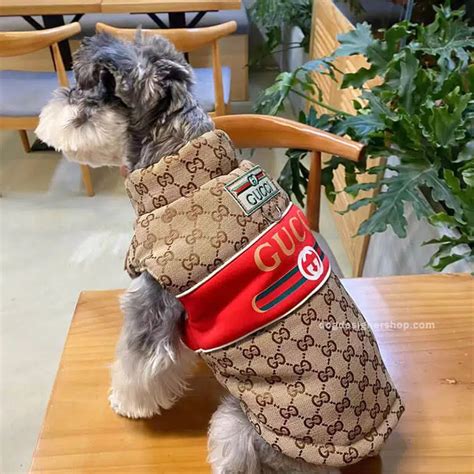 dog jacket gucci|gucci dog jacket sale.